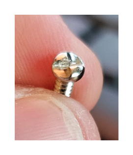 Close-up of the one-way clutch-head security screw used in the DIIVOO gateway enclosure.